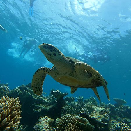 Athens View Hotel Guraidhoo  Bagian luar foto